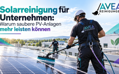 Solarreinigung für Unternehmen: Warum saubere PV-Anlagen mehr leisten können